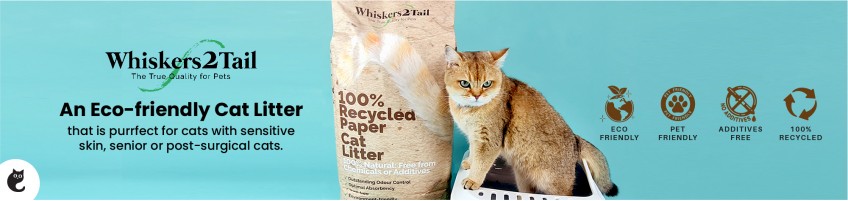 Whiskers2Tail — Recycled Paper Cat Litter